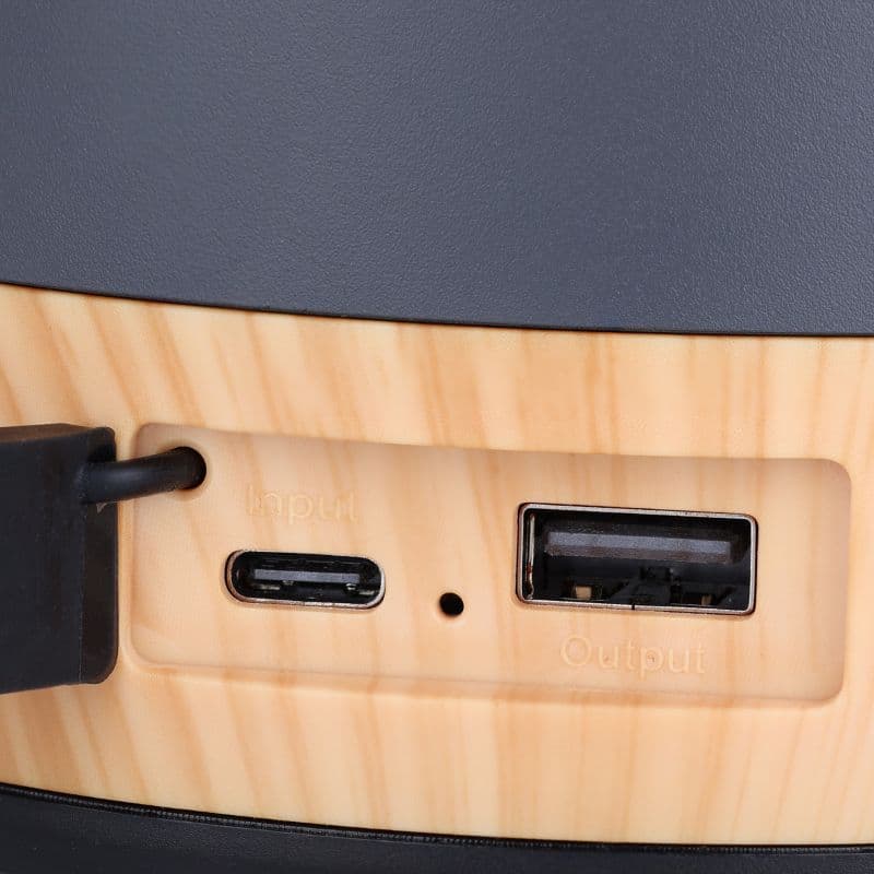 Close-up of USB input and output ports in a wood-grain device panel.