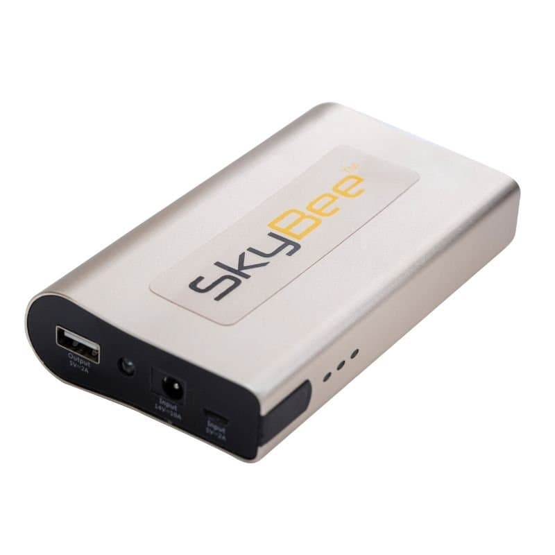Champagne metal SkyBee power bank showing labeled USB and DC ports, on white.